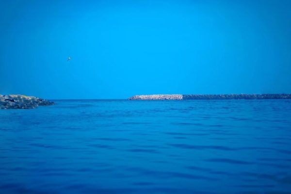 Untitled-design-82-768x597